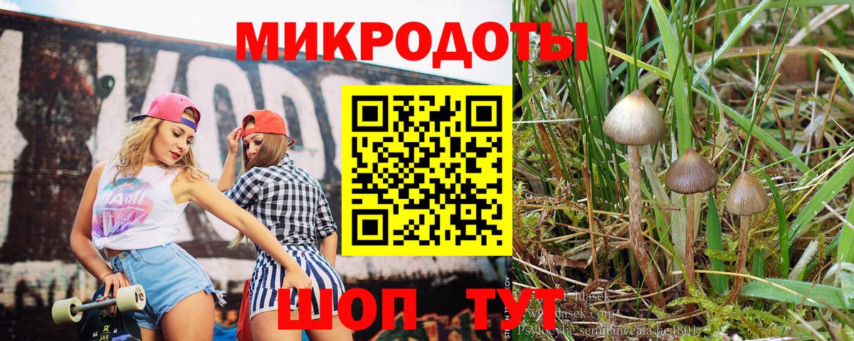 Псилоцибиновые грибы Psilocybine cubensis Строитель