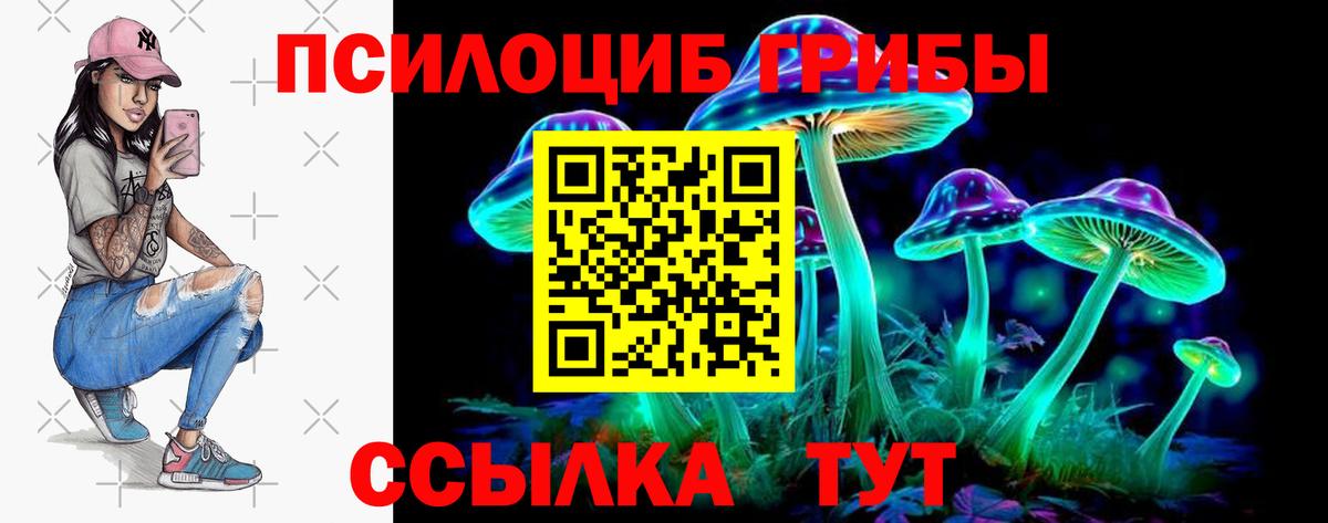 Строитель  цена   Вход с VPN  Галлюциногенные грибы мухоморы 